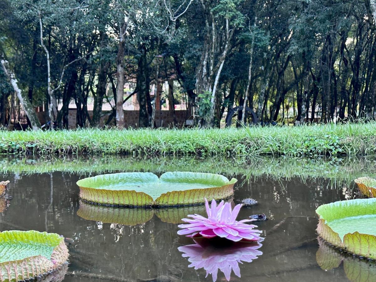Parque Hotel Manantial Hohenau 외부 사진