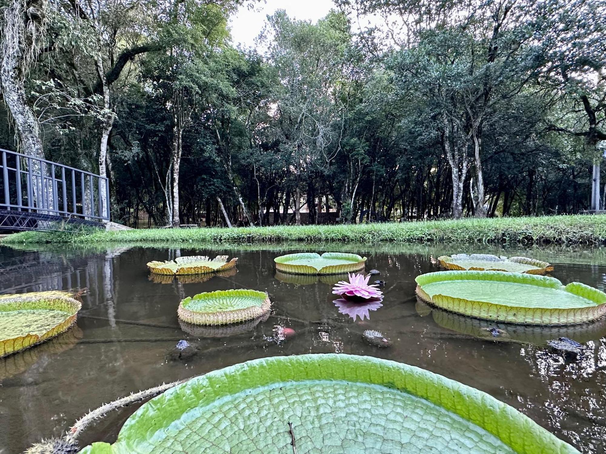 Parque Hotel Manantial Hohenau 외부 사진